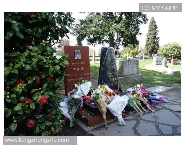 《探秘足球巨星卡背后的传奇故事与珍稀收藏价值》