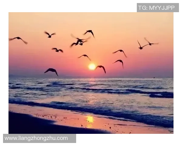 冯在绿茵场上的璀璨旅程与坚毅奋斗精神的深度解读 冯在绿茵场上的璀璨旅程与坚毅奋斗精神的深度解读