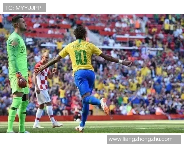 巴西足球历史最佳球星排名回顾及影响力分析 巴西足球历史最佳球星排名回顾及影响力分析