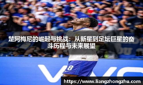 乐发Vll官网