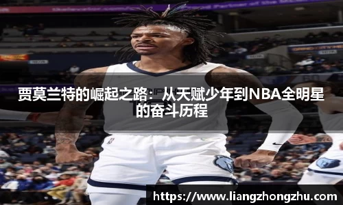 乐发Vll