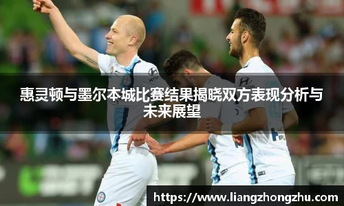 乐发Vll官网